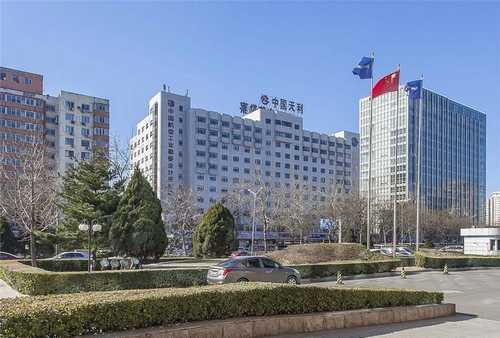 美毛亮发猫粮零食营养品哪里有卖的