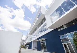 秋季办公室租花公司