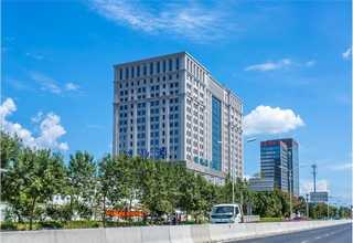 奉贤区链板提升输送机厂商